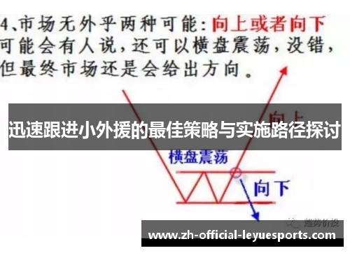 迅速跟进小外援的最佳策略与实施路径探讨