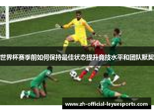 世界杯赛季前如何保持最佳状态提升竞技水平和团队默契 世界杯赛季前如何保持最佳状态提升竞技水平和团队默契